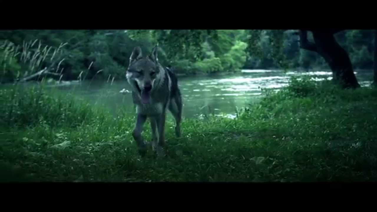 Watch KALI - DOSNÍVANÉ [NOVÝ ZAČIATOK] prod. EL MURDO/MAREK ŠURÍN [OFFICIAL VIDEO] on YouTube