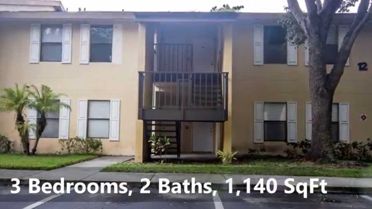 Arbor Heights Condominium, St Petersburg, FL 33712 YouTube
