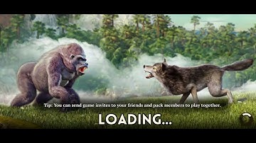 900K account | The Wolf | GamingVermaYo