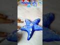 Marine life🌊|starfish🌟|part2💌|#marinelife#starfish#part2#trending#shorts#wateranimals#august2025
