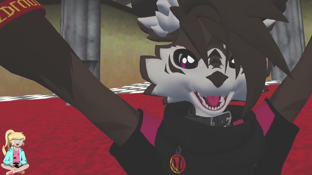 Discovering Anomalies in SM64: Playtester's Build!!!