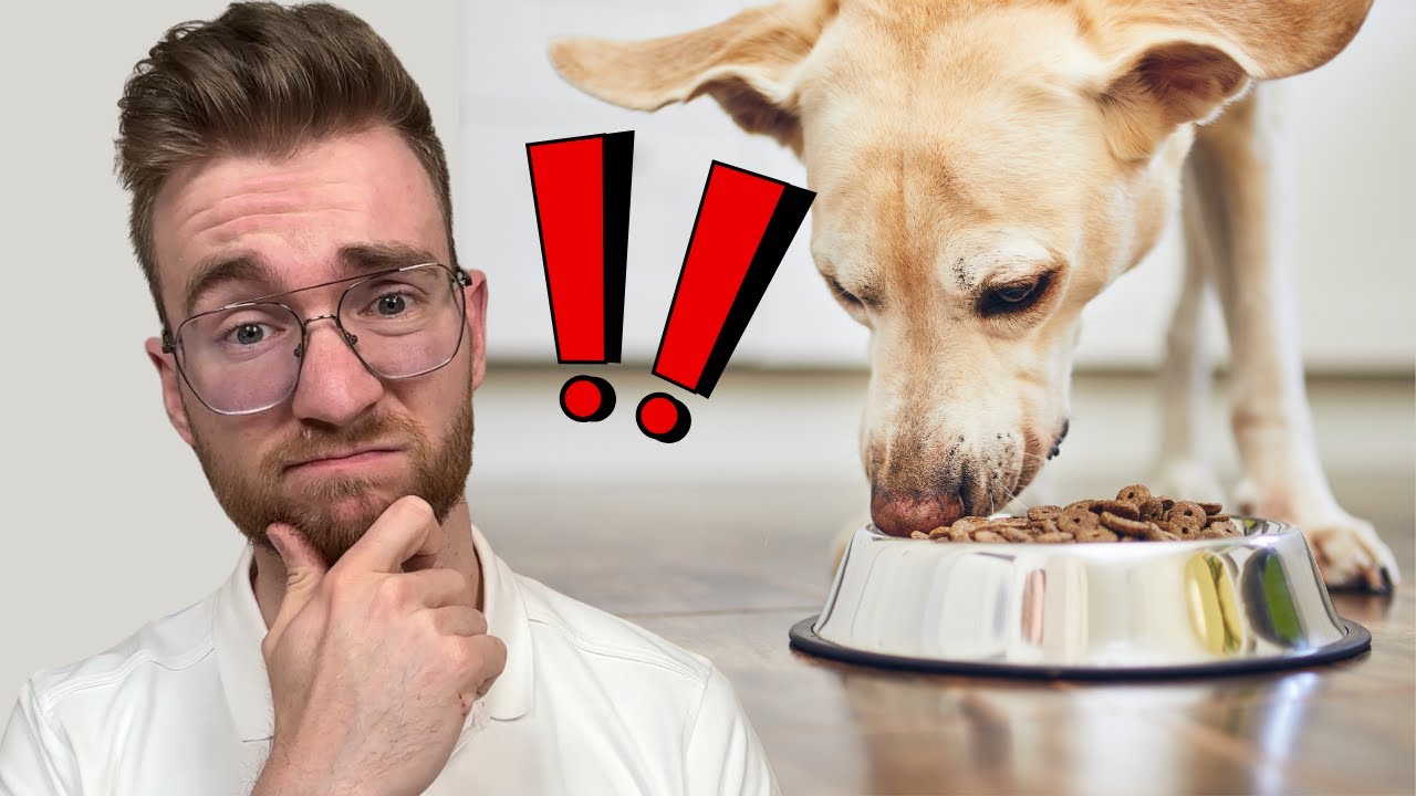 7️⃣ Fehler in der Hundeerährung‼️😱🐶