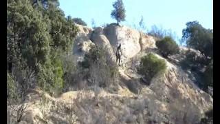 Video  El Pardo V Jot.wmv