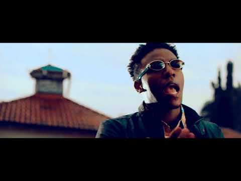 VIDEO | Walid - Dunia