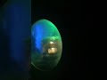 Dark entities (Knotts/scary farm)