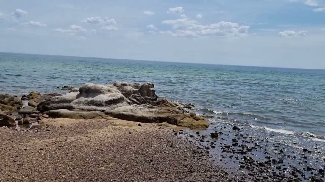 Seagulls at Olivers Hill. 