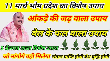 11 मार्च भौम प्रदोष का उपाय। भौम प्रदोष का उपाय। PANDIT Pradeep Mishra pradosh upay