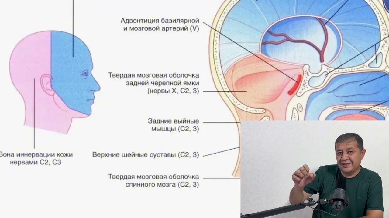 Буйин остеохондрозида бош огриклари сабаблари ,даволаш хакида 