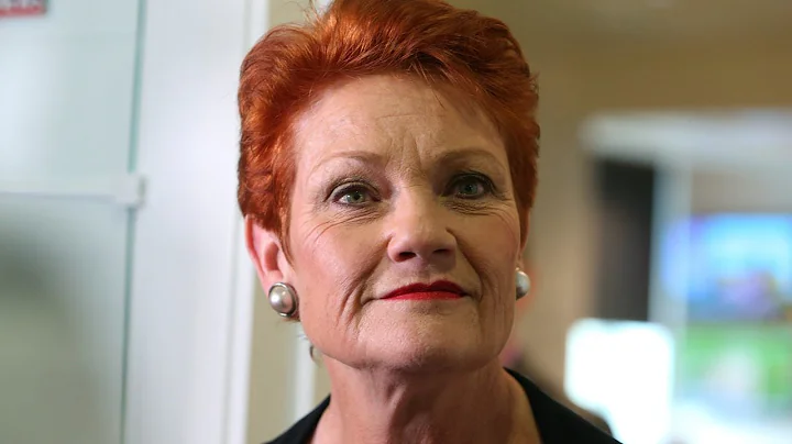 Pauline Hanson's latest cartoon episode pokes fun ...