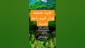 قرأن كريم راحة نفسية قرأن كريم تلاوة خاشعة #قران_كريم #قرآن
