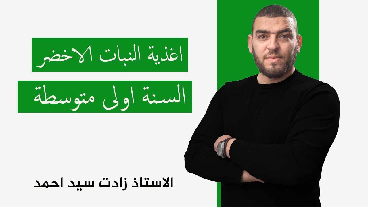 النشاط اغذية النبات الاخضر اولى متوسطة علوم طبيعية