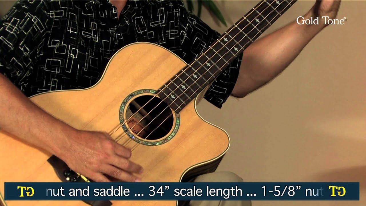 gold tone 4 string bass guitar