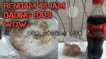 WOW ini Bukti Daging BABI direndam Coca Cola | #experiment