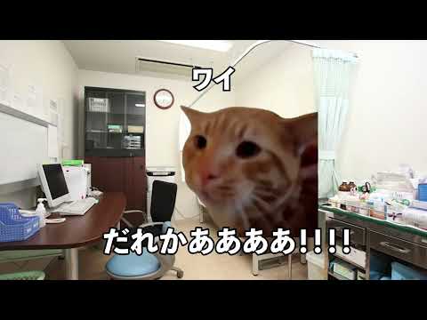 【猫ミーム】病院内での暴行事件！！外来に来る一般人に紛れてるやべえやつ　#猫ミーム #vtuber  #医師解説