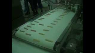 Egg roll feeding and packing machine