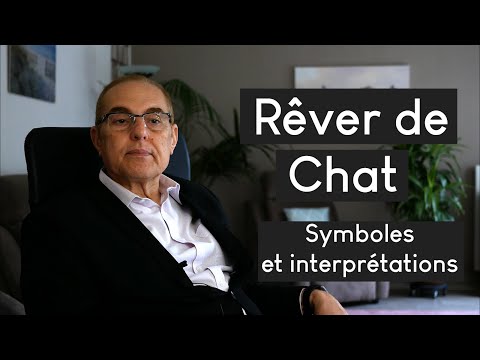 Vidéo: Pourquoi Le Chat Rêve