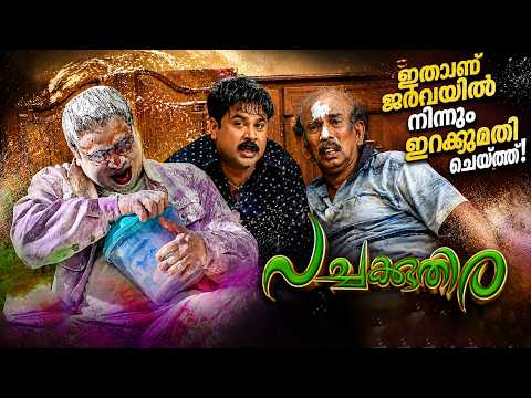 ഏതാണീ പിശാശ്! ഇതാണ് ജർമനിയിൽ നിന്നും ഇറക്കുമതി ചെയ്തത്🤐Malayalam Movie Comedy Scene