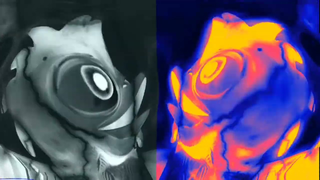 DRUNK ROOSTER IN A DUAL BULGE EFFECTS + FUNNY AUDIO VOICE FX - AMAZING ROOSTER V2