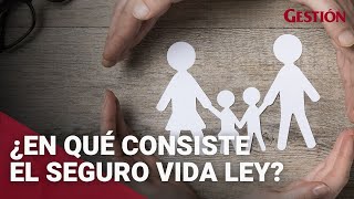 ¿En qué consiste el seguro Vida Ley