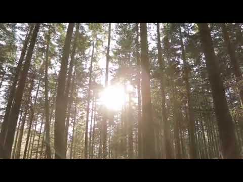 مؤثرات صوتية للمونتاج بدون موسيقى وبدون إيقاع مع خلفية طبيعية جميلة خلفيات للمونتاج 12