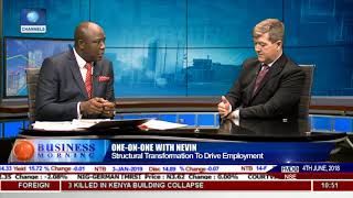 PwC Nigeria Chief Economist,Nevin On Nigeria's Sectoral Employment Trends Pt.2 |Business Morning|