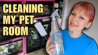 Cleaning my Animal Room with 20+ Pets! (Snakes, Geckos, Frogs + MORE)