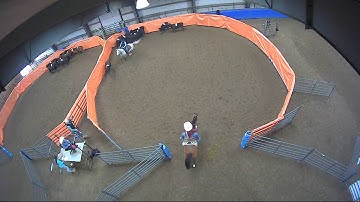 Big Sky Ranch Sorting Saddle Series #3 - Beginner Sort - Round #1 - Ride #6