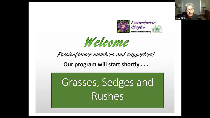 Florida Grasses, Sedges, and Rushes by Nancy Bisse...