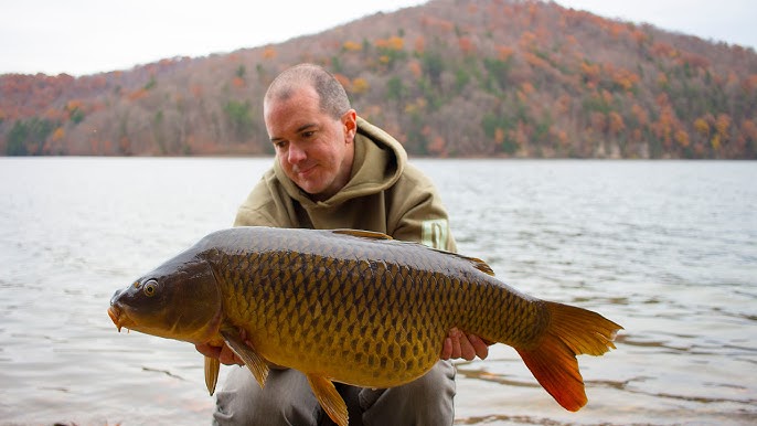 How To Reel In A Big Fish - Easy ways to land more carp 