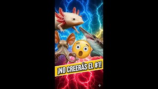 TOP 10 Animales Más Extraños del Mundo 🌍🐙 Criaturas que no creerás que existen #curiosidades #top10
