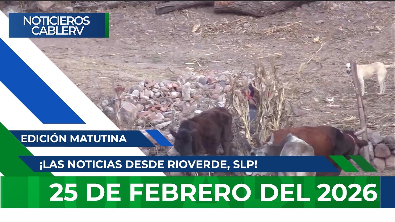 Noticieros CABLERV: Edición Matutina - 25 de febrero del 2026