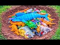 Menemukan Dan Unboxing Mainan Hewan, Sapi, Kerbau, Gajah, Domba, Buaya, Ayam, Bebek, Ikan