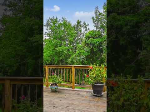 2726 Shamer Ln, Hampstead, MD home video tour