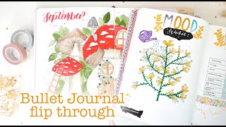 Przegląd Bullet Journal | Notesy Devangari Notebook Theraphy