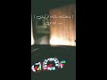 ومضت بك الركبان بدر اللامي