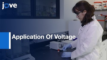 Application Of Voltage In Dynamic Light Scattering Particle Size Analysis l Protocol Preview