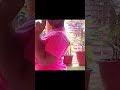 You you 👍🙏 shaniel abscess pastor @LifewithRoyalty @TheTrenchFamily @PFSFILMS