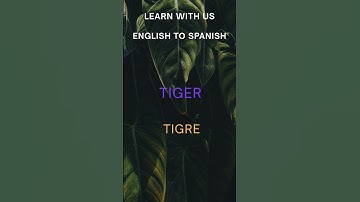 Learn Animal Names in Spanish Fast!