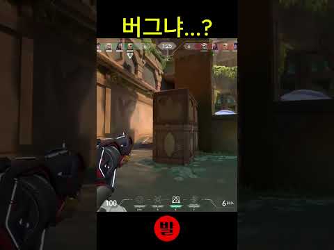 사이퍼 함정 버그...?