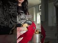 Day in the life ❤️ #birdmom #dogmom #contentcreator #dayinthelife