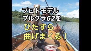 大爆釣！カリマンタンでプロトのプルクラ６２を曲げまくる　West kalimantan casting fishing