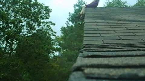 Thumbnail of the frug -rilo kiley video remake