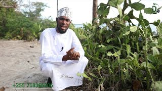 Ijue Faida Na Tiba Ya Mti Wa Mkakati Sheikh Yussuf Bin Ally