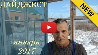 Дайджест (январь 2017)