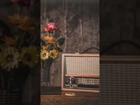 كله بي يد الله