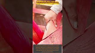 Traditional Roof Framing: Hand-Driving Nails into Timber Truss