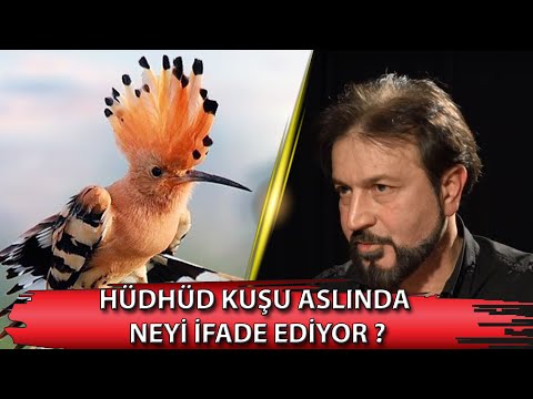 Hüdhüd Kuşu aslında ne ifade ediyor? (Gizli Gerçekler) - Medya24 TV