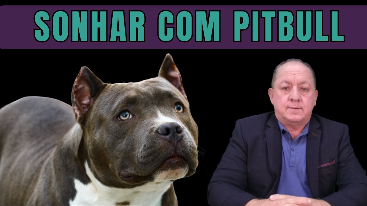 O QUE SIGNIFICA SONHAR COM PITBULL - YouTube