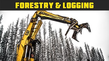 CAT 325 Winter Long Loading - Real Life Forestry & Logging - FDR Logging