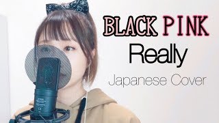 BLACKPINK - Really (Japanese Cover) by Akina 秋奈